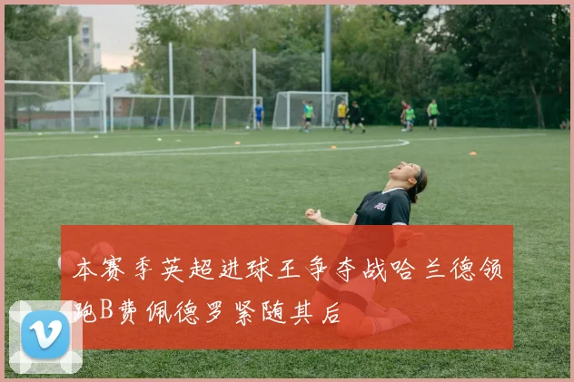 本赛季英超进球王争夺战哈兰德领跑B费佩德罗紧随其后