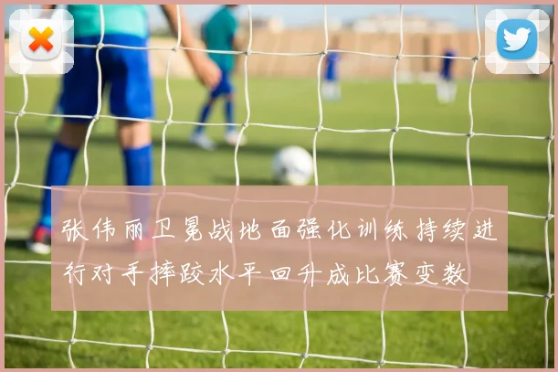张伟丽卫冕战地面强化训练持续进行对手摔跤水平回升成比赛变数