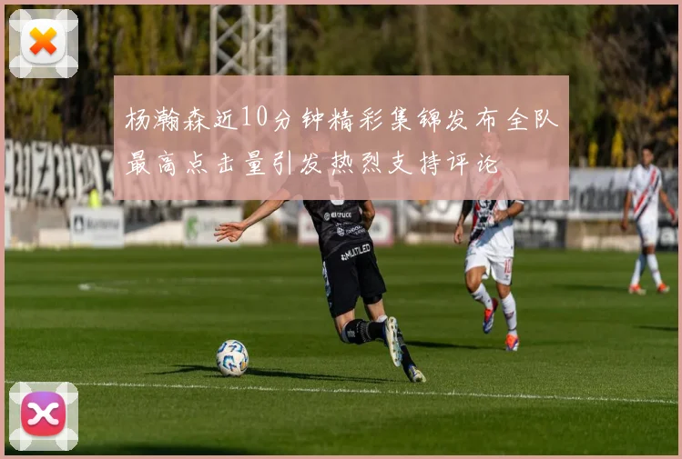 杨瀚森近10分钟精彩集锦发布全队最高点击量引发热烈支持评论
